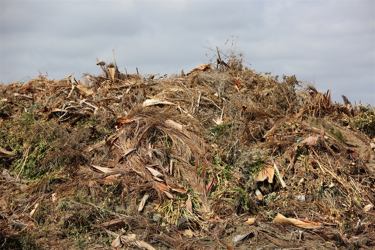 2+ green waste fee to be introduced 2 August Rockhampton Regional Council