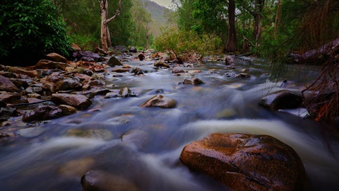 Budding young photographer - Moores Creek - Fletcher Dean.jpg