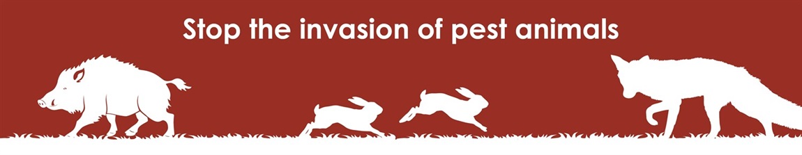 PEST Management animals