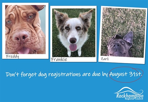 Dog registration renewal.jpg