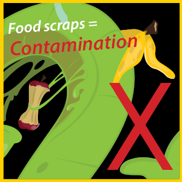 Contamination-Food-scraps