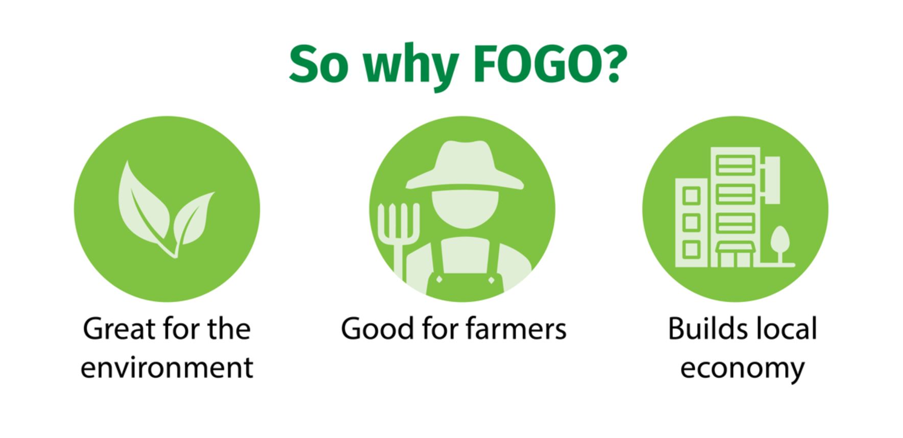 Why FOGO.JPG