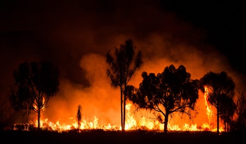 Bushfire