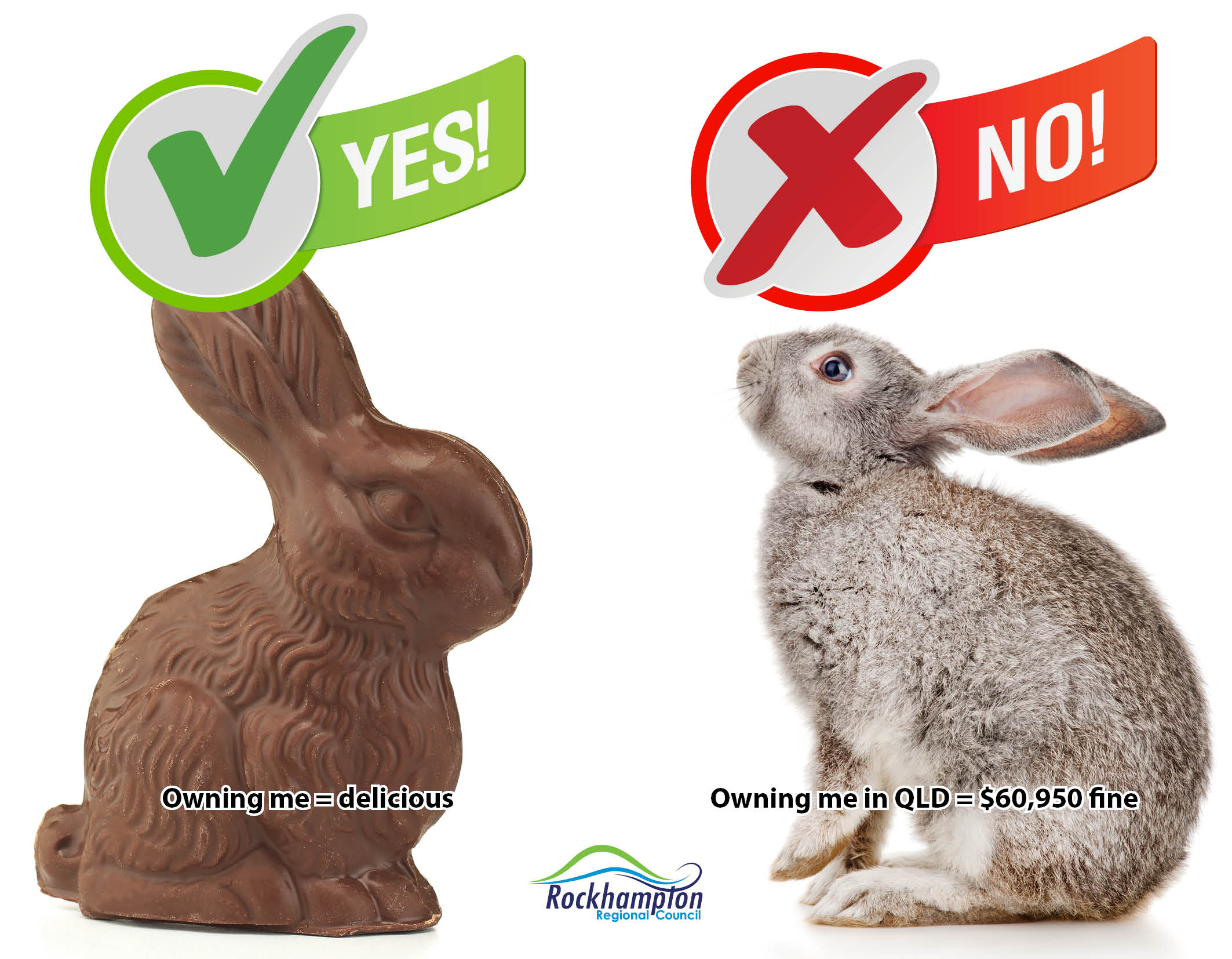PEST Rabbits FB Post.jpg