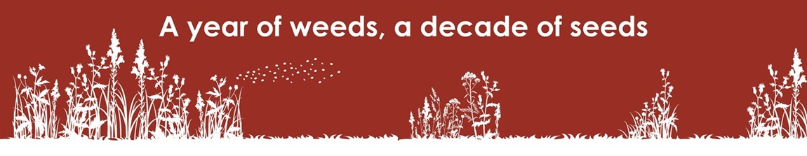 PEST Management Weeds