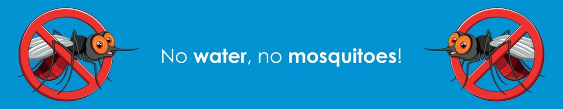 Vector Management