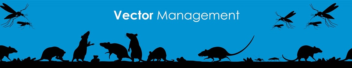 Vector Management