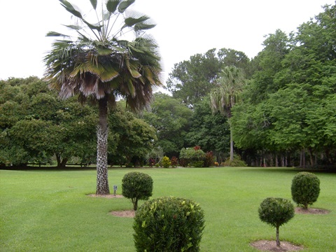 Photo - grassed area near Japanese Gardens 