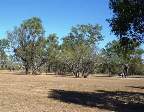 Ergon-Park.jpg