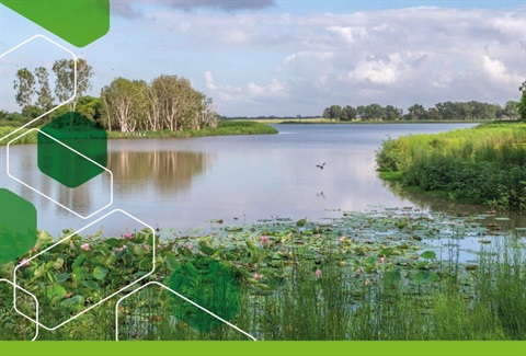 2022-Bringing-Nature-Back-Web-NAssets-small