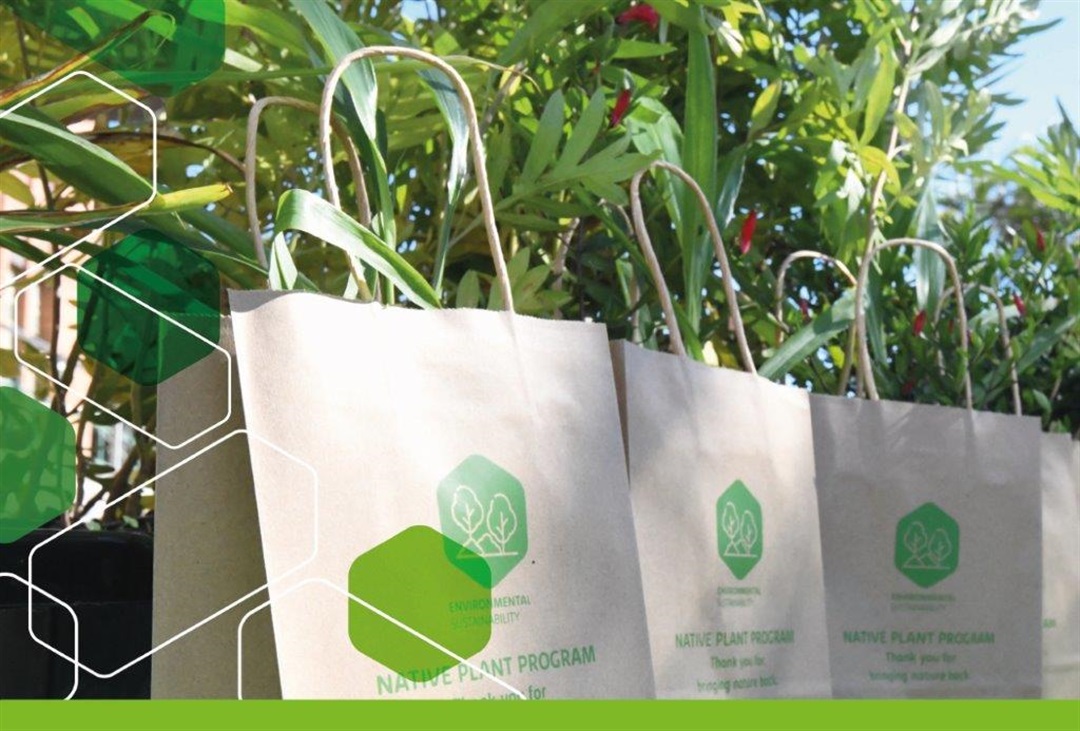 National Planting Program Native Plant Program Rockhampton Regional Council