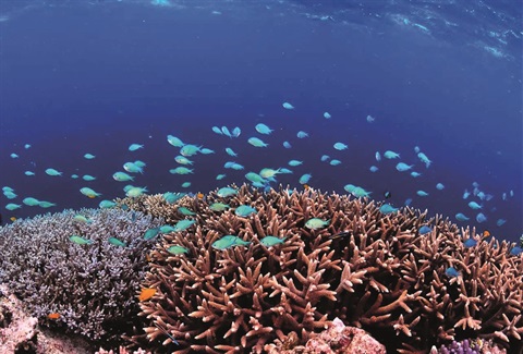 2023-Reef-Guardian-River-to-Reef