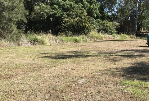 ES-BNB-NRM-Program-Bill-Crane-Park