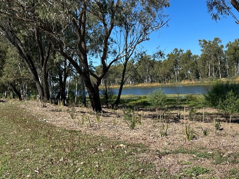 NRM-Yeppen-Lagoon