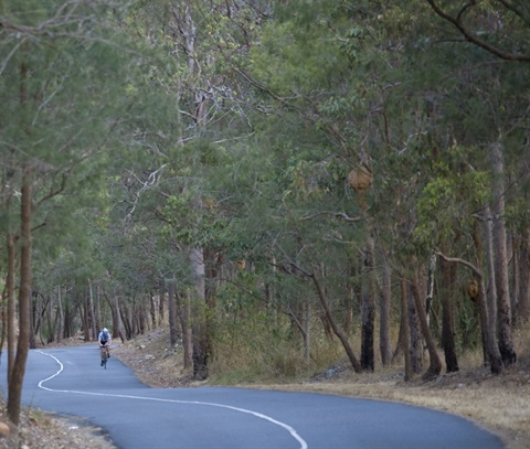 Cyclist on Pilbeam Drive