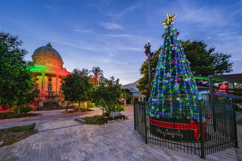 CBD Christmas Tree Lit