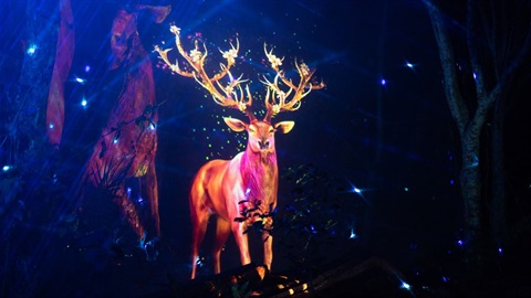 Enchanted_Forest_Deer