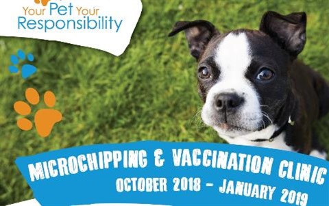 Microchipping and vaccination clinic