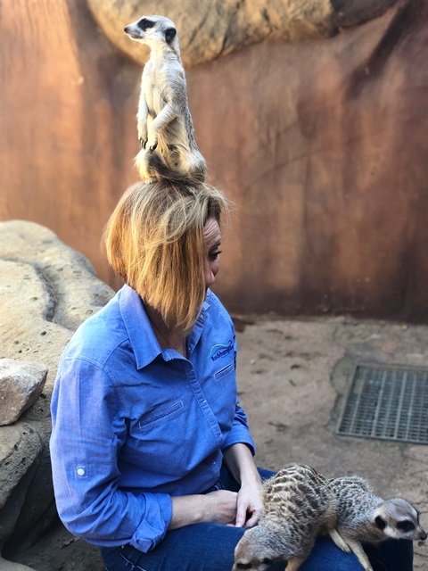Liz with meerkats.jpeg