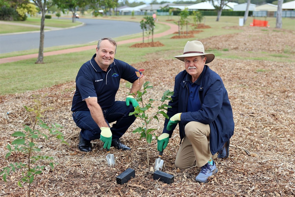 Putting down roots for National Tree Day Rockhampton Regional Council