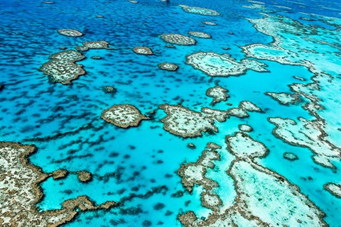 Great Barrier Reef.jpg