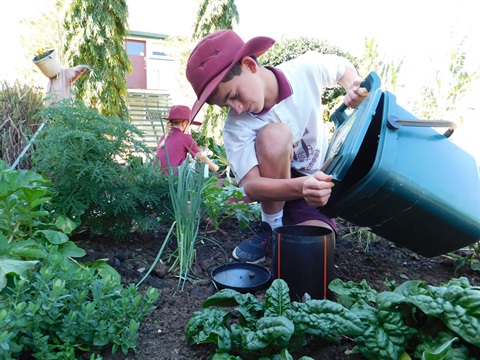 Start a compost or work farm - Wondrous Worm Farm - Bajool State School.JPG