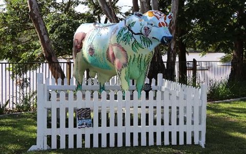 Bulls-2.jpg