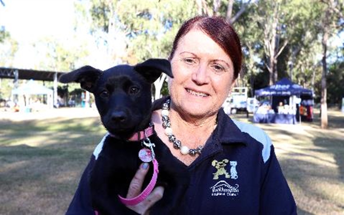 Council's new pet care initiative is a success Rockhampton Regional Council