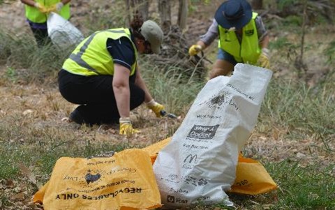 CUAD-bags-and-rubbish.jpg