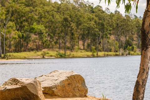 Mount Morgan Dam