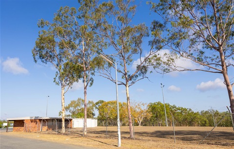 Music Bowl Proposed Rockhaven (3 of 8).jpg