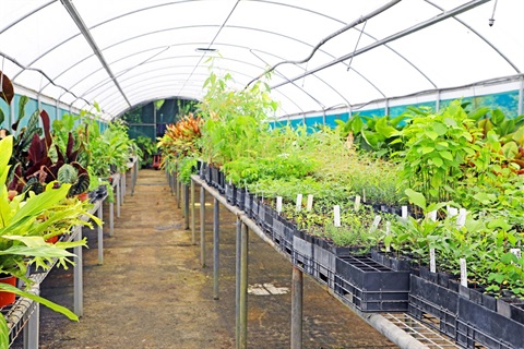The Glasshouse.jpg