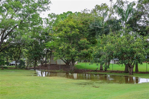 Wet ground