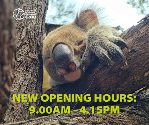 NEW OPENING HOURS 9.00AM - 4.15PM.jpg