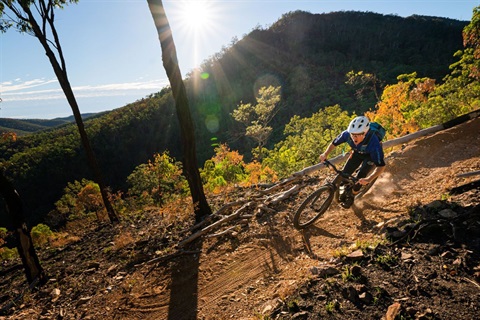 First Turkey Mountain Bike Park