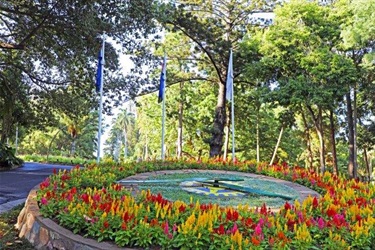 Botanic Gardens