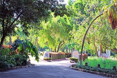 Botanic Gardens walking paths