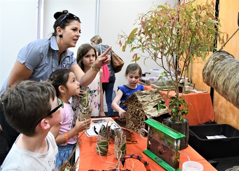 Parkhurst Early Learning Centre participate in a Living Sustainably workshop.JPG