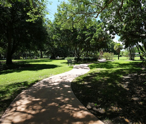 Botanic Gardens Pathway with bench