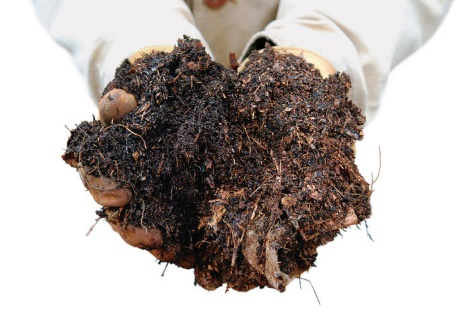 compost-end-product