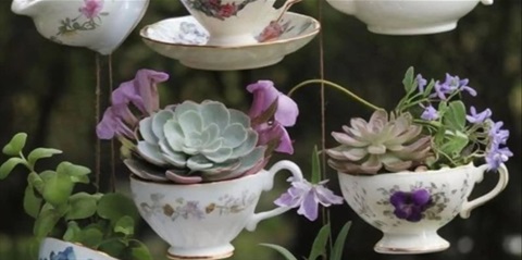 tinkerage tea cup planters.jpg
