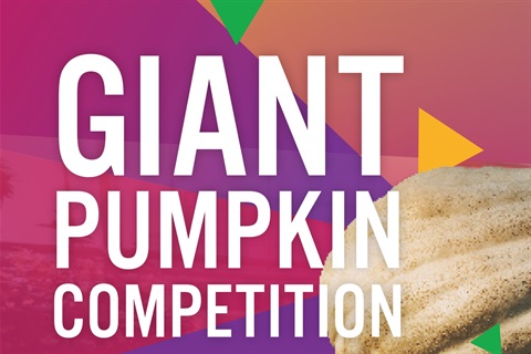 Giant Pumpkin Competition