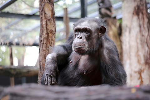 Expecting Mum Samantha reclining on platform