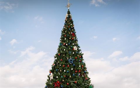 christmas-tree-iStock-909175842.jpg