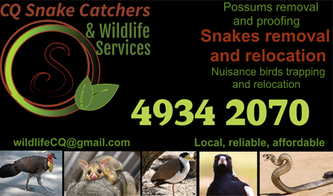 CQ-snake-catchers