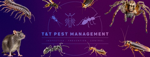 A-Facebook-Cover-Photo