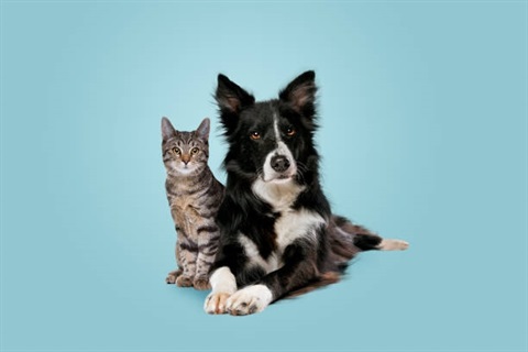 istockphoto-1306543850-612x612