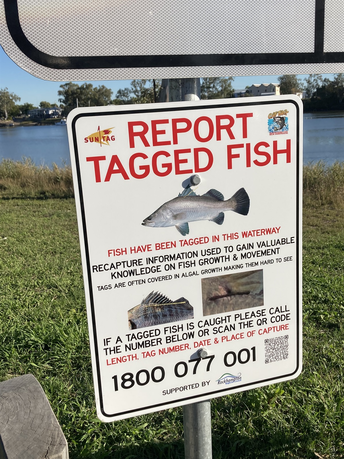 Tagged Fish Form Capricorn Tag and Release Sports Fishing Club Inc (Captag) Rockhampton ...