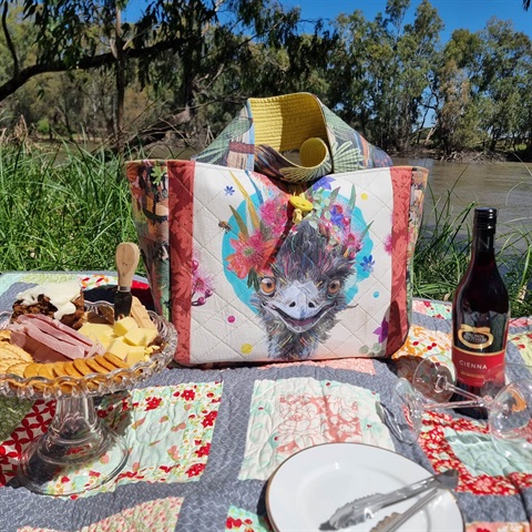 sassy-shopper-emu-picnic