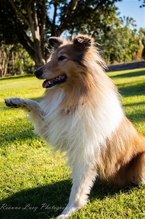 106320174_566314037342291_652148343670420616_n